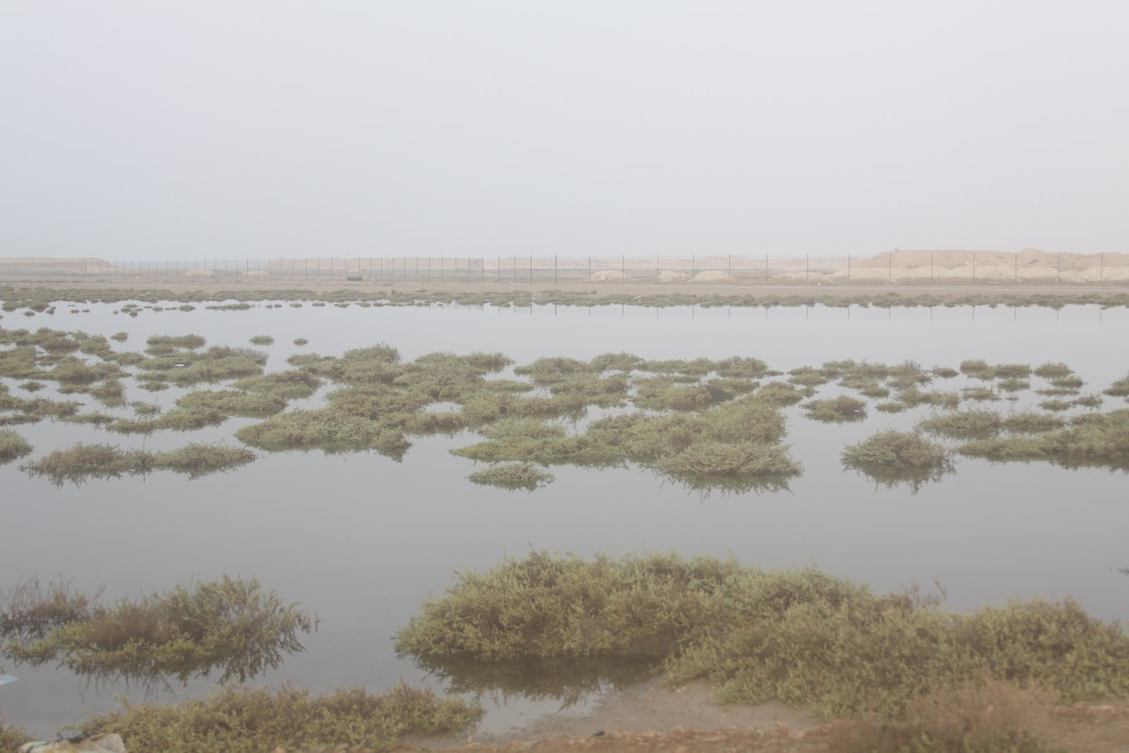 Purple Island - Al Khor Island