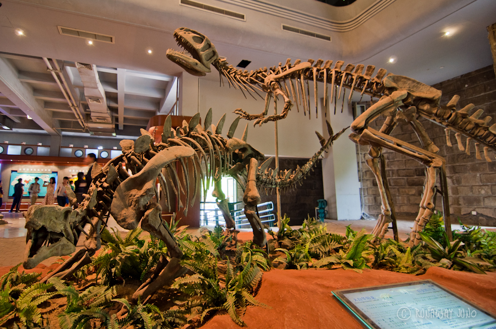 Zigong Dinosaur Museum