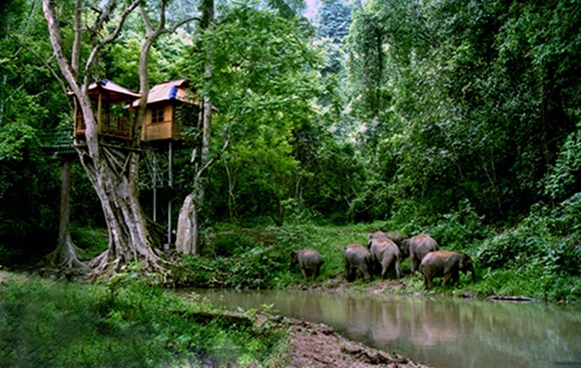 Mengyang Nature Reserve