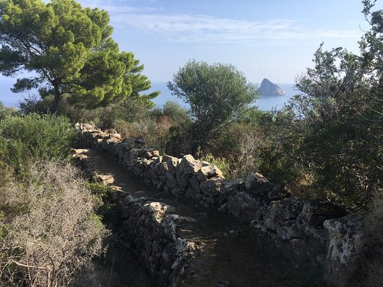 Punta Corvo