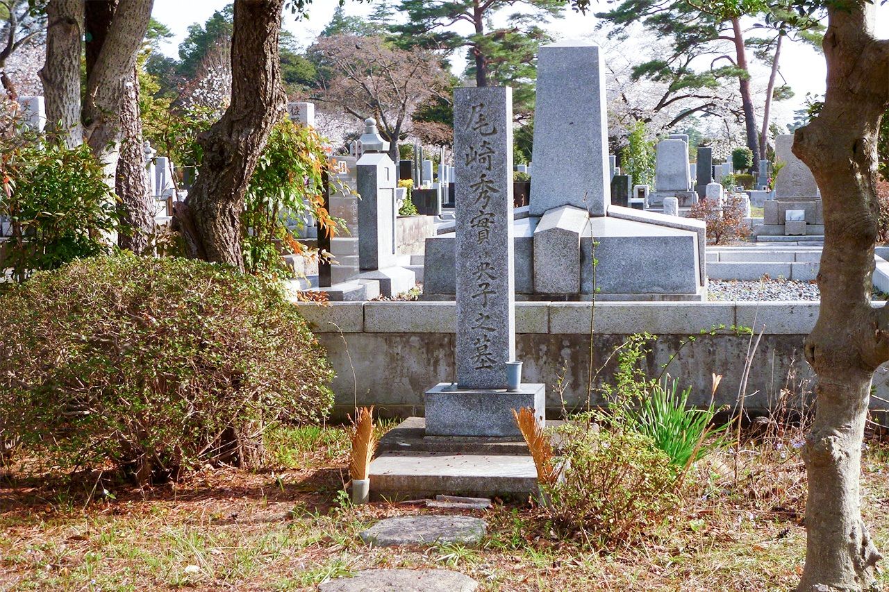 Foreign Cemetery