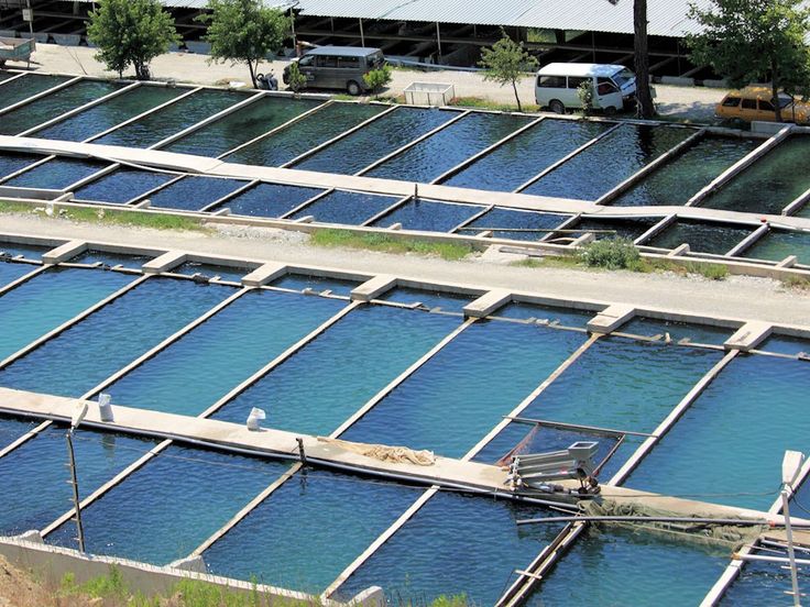 Dawen Aquaculture Leisure Area