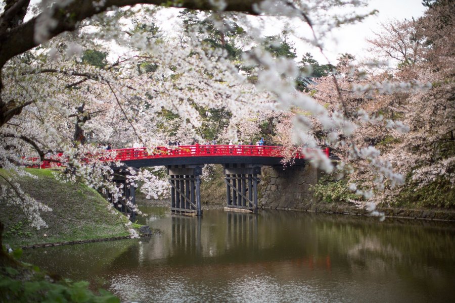Gokurakuyu, Aomori