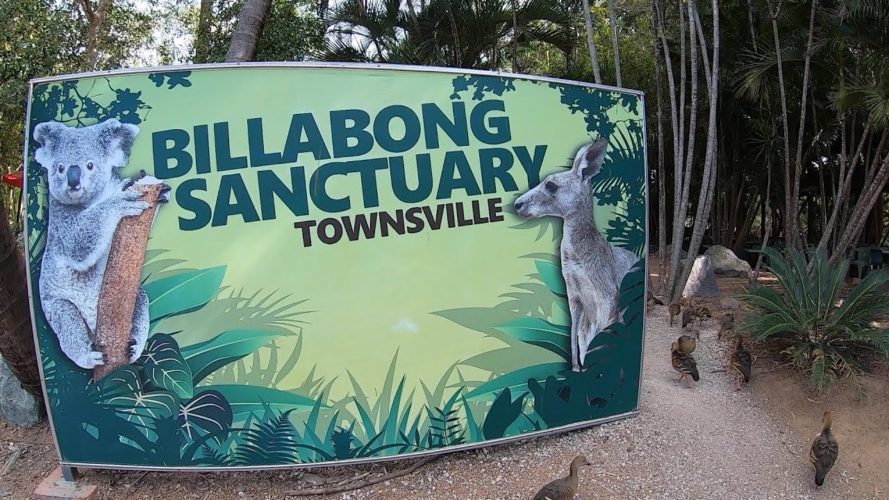 Billabong Sanctuary