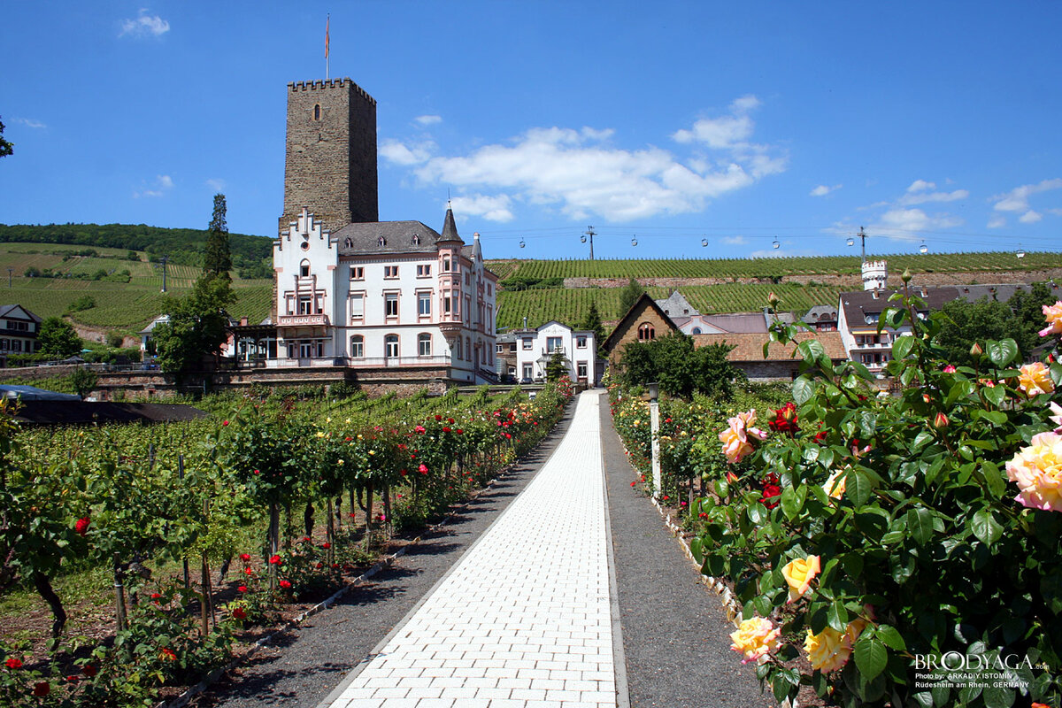 Weinstand Marktplatz Rüdesheim am Rhein