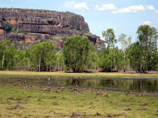 Anbangbang Billabong