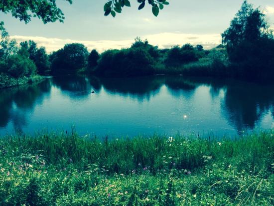 Pennington Flash Country Park