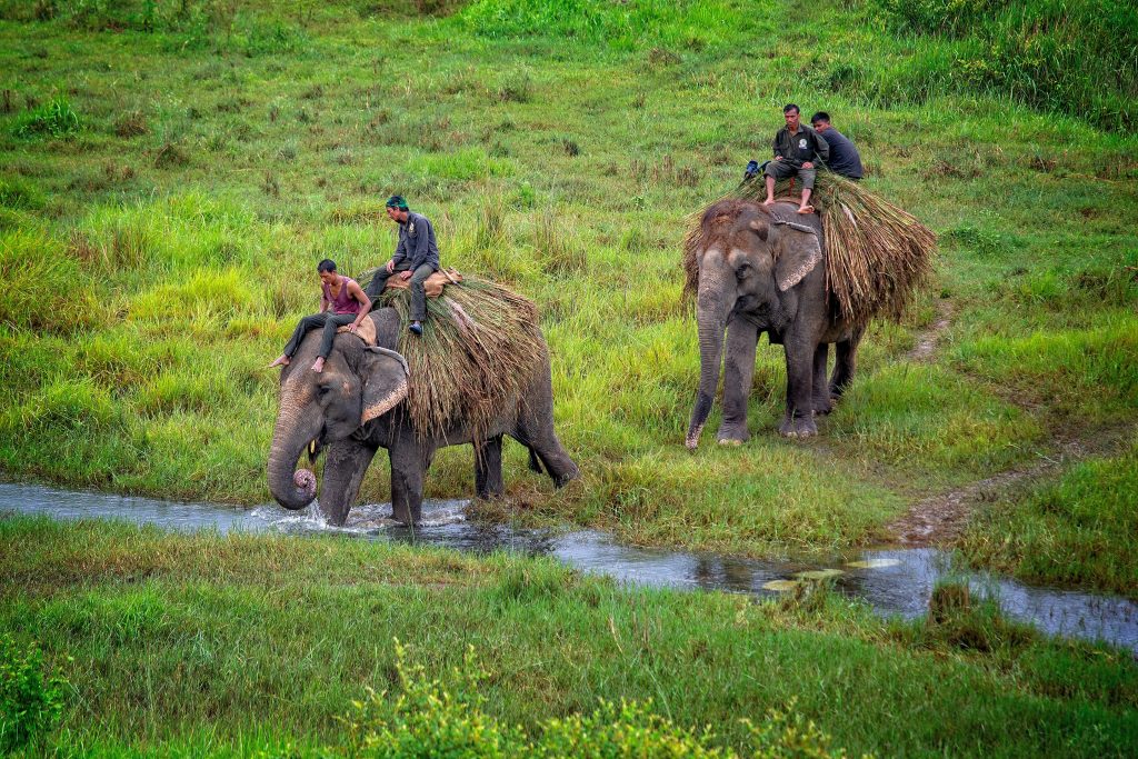 Chitwan National Park Tours