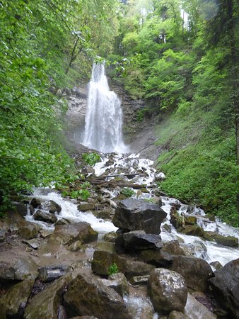 Outdoor Pictures 1
