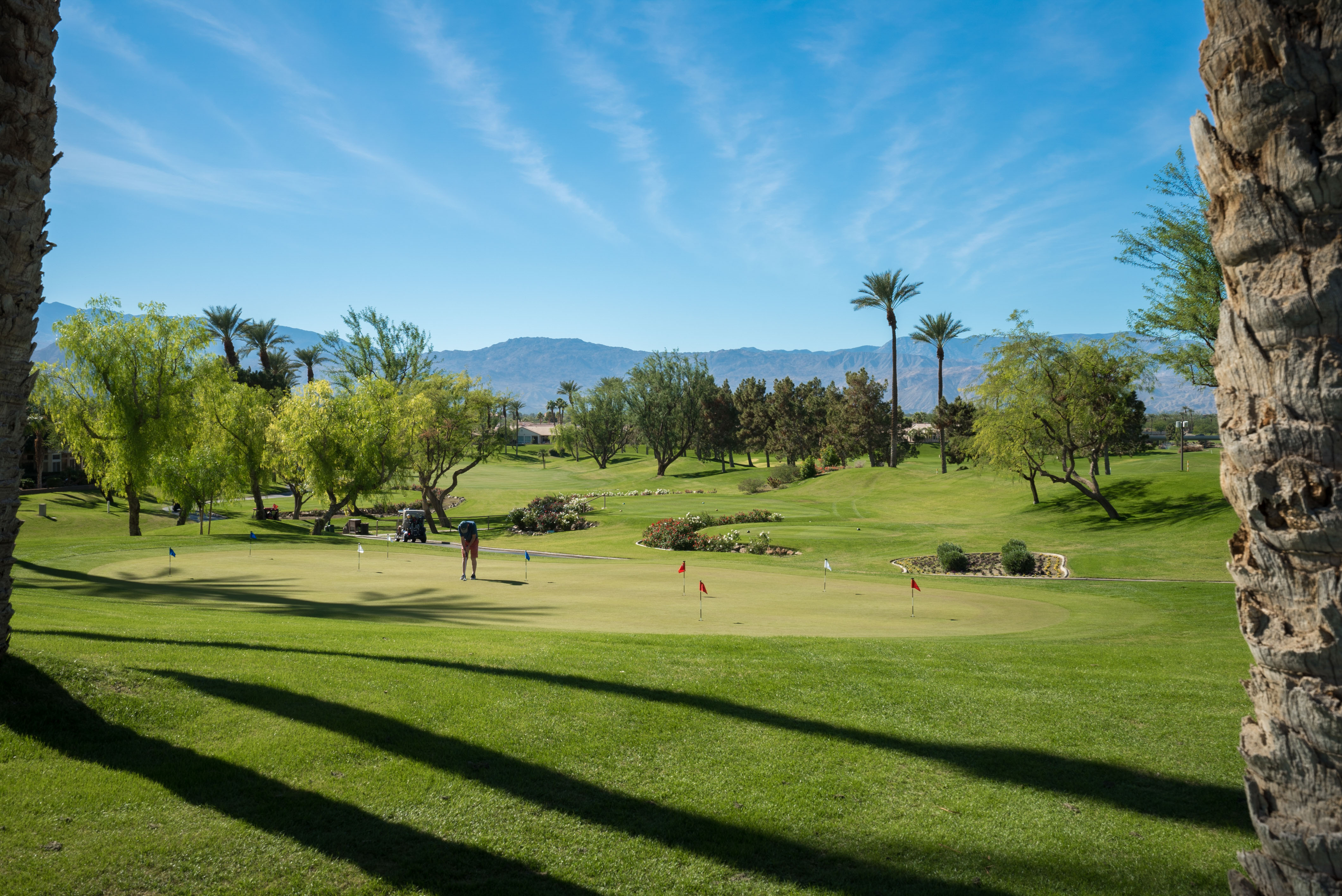 Palm and Valley Golf Courses at Desert Springs
