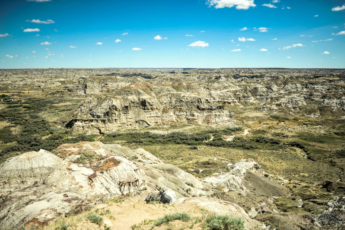 Dinosaur Provincial Park