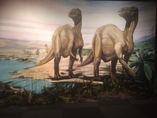 Expo Dino World