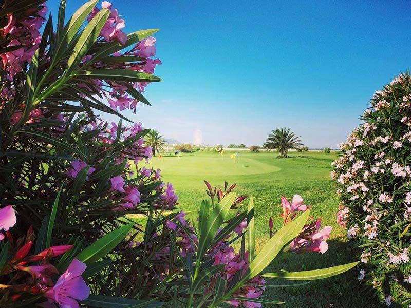 Daily Golf de Borély