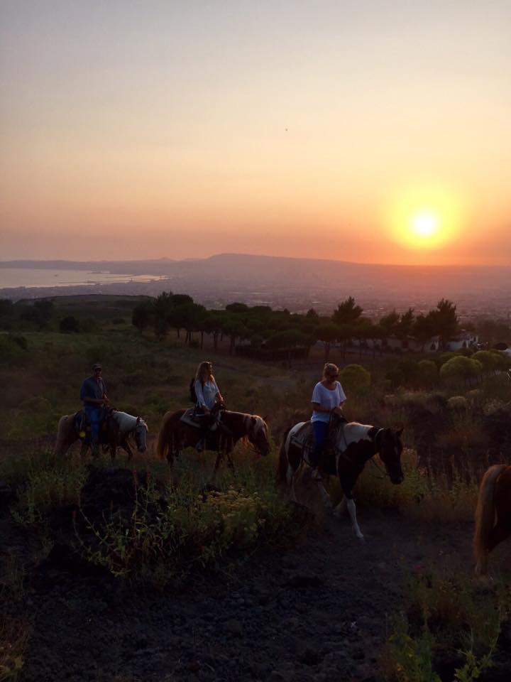 Horse Riding Tour