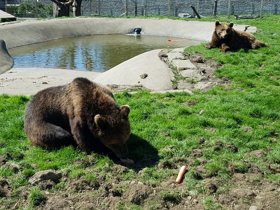 Camperdown Wildlife Centre