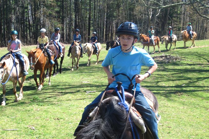Arrowmont Stables