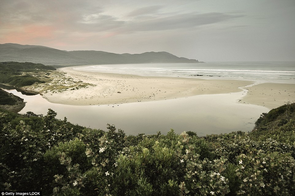 East Cloudy Head Track