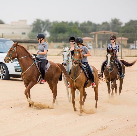 Julie Equestrian Club