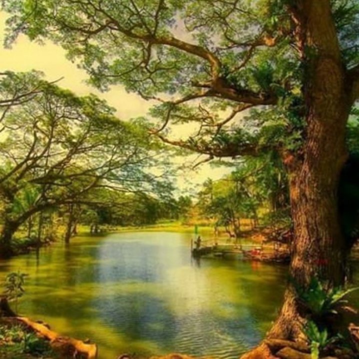 Rajah Sikatuna Protected Landscape