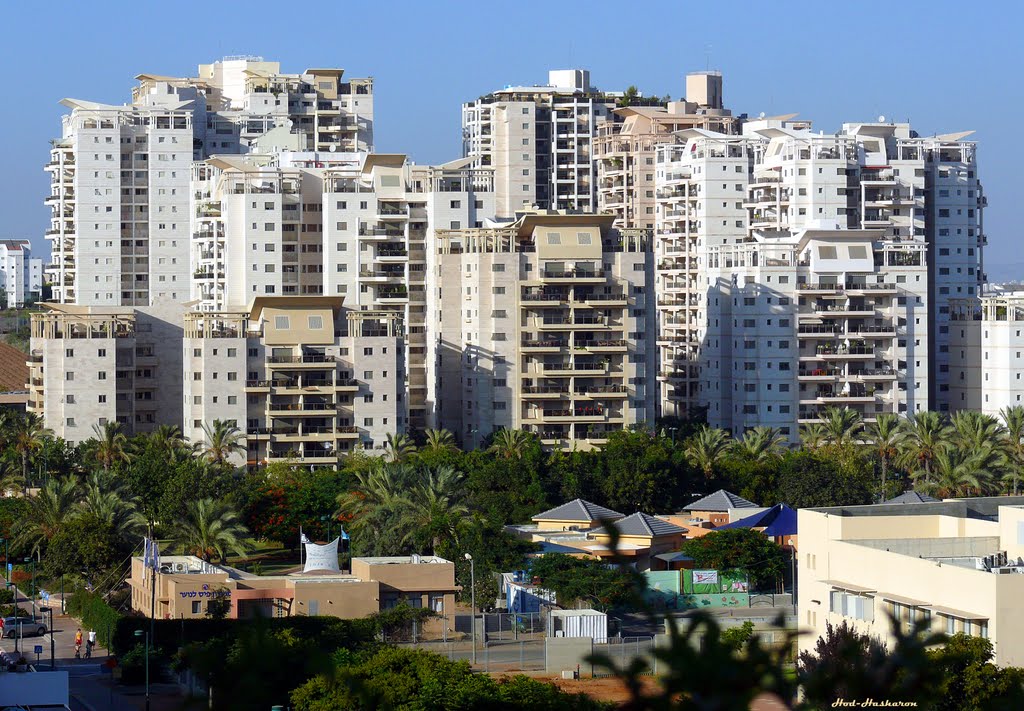 Galei HaSharon