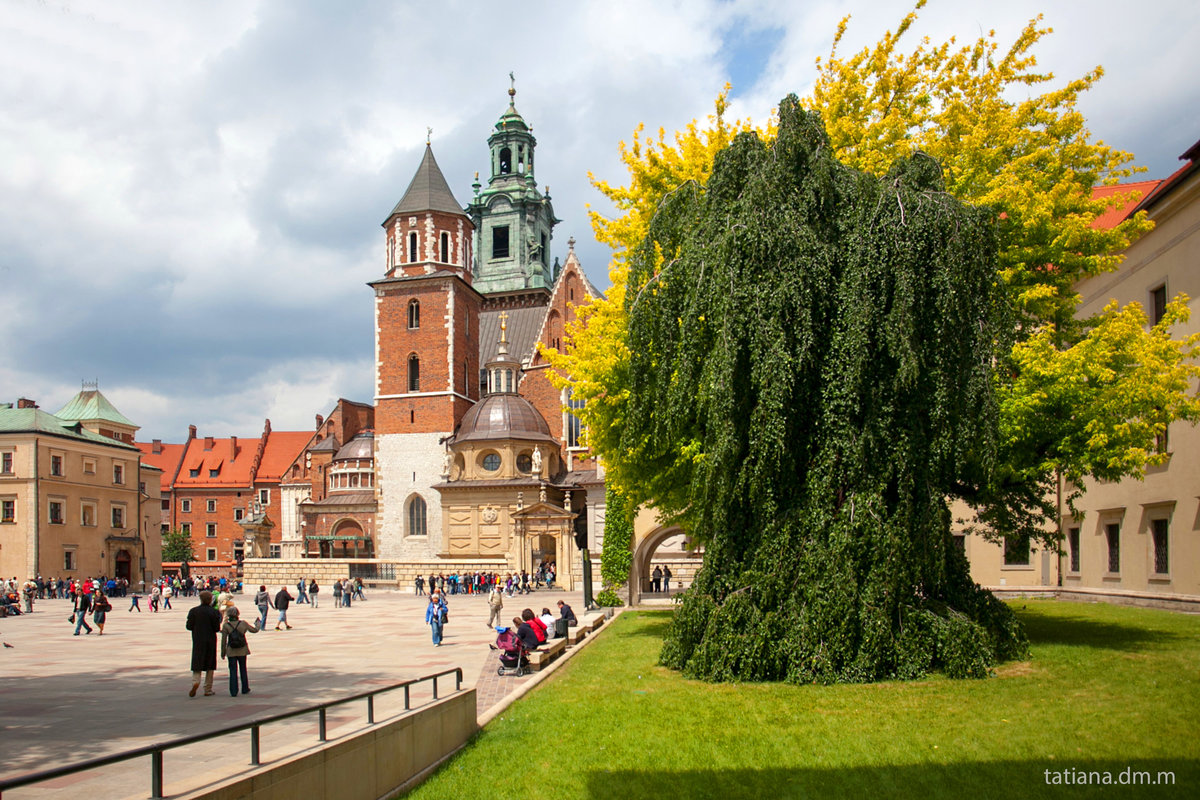 CracoviaTours