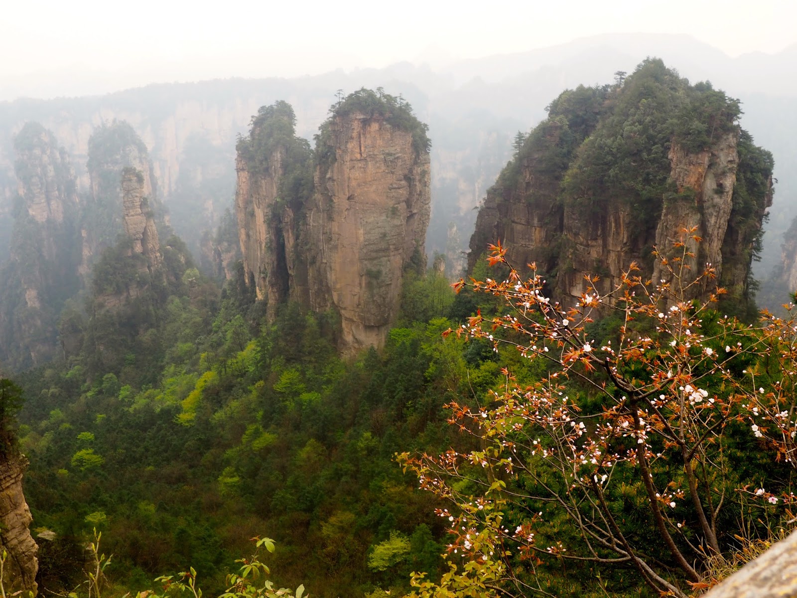 Zhangjiajie Museum
