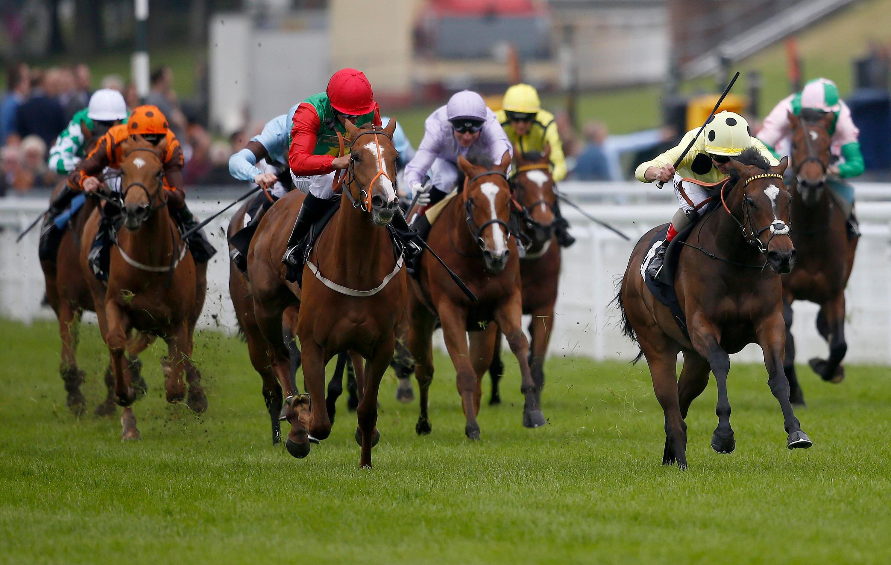 Thirsk Racecourse