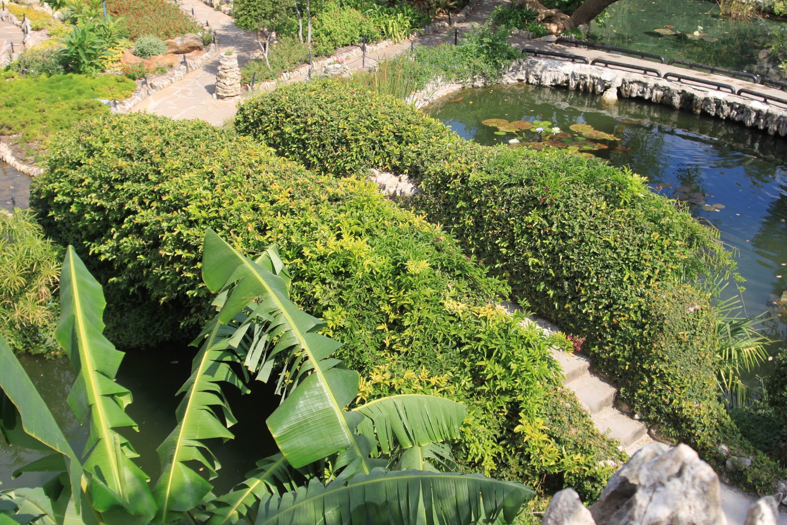 Japanese Tea Gardens