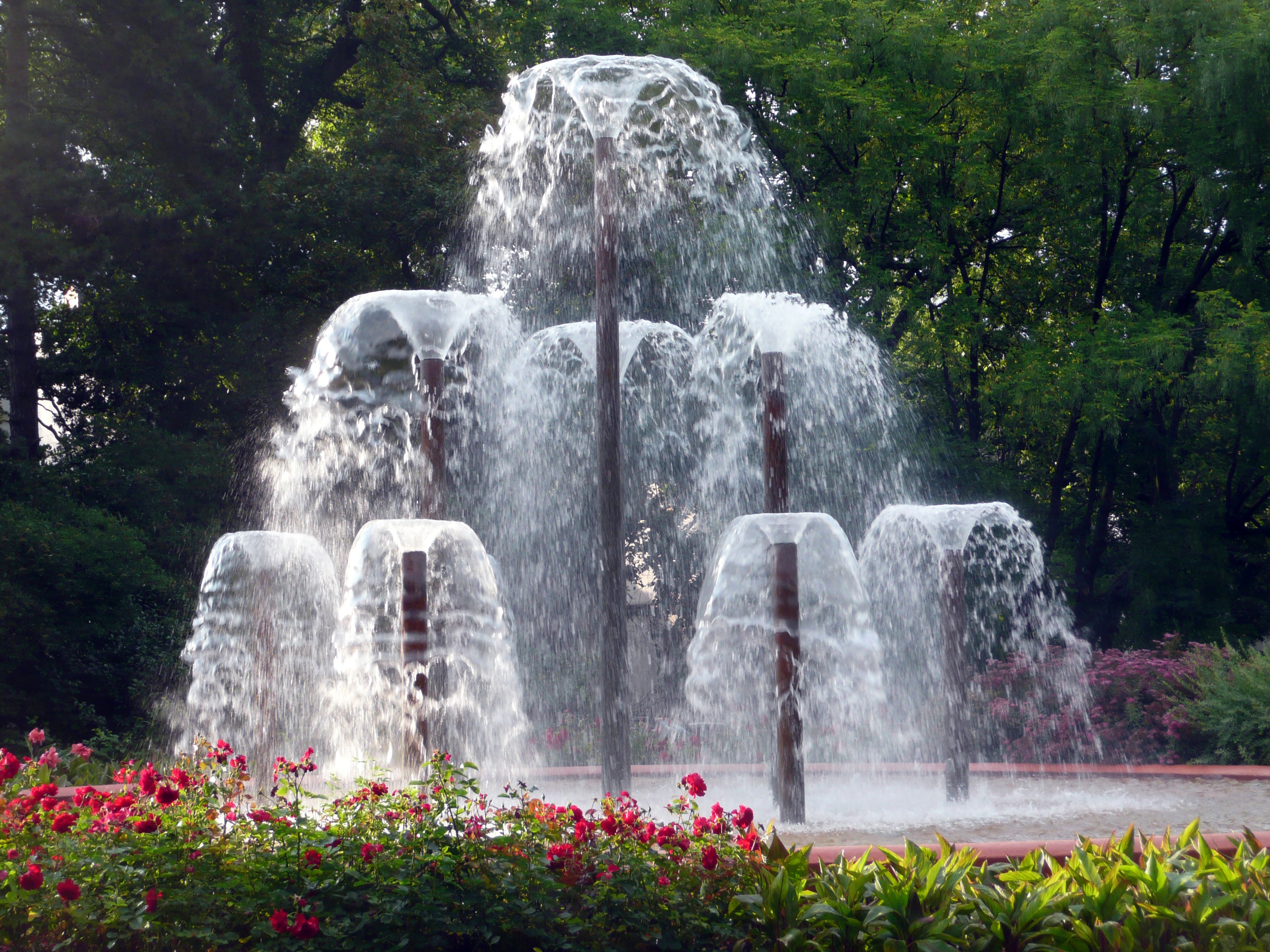 Longevity Fountain