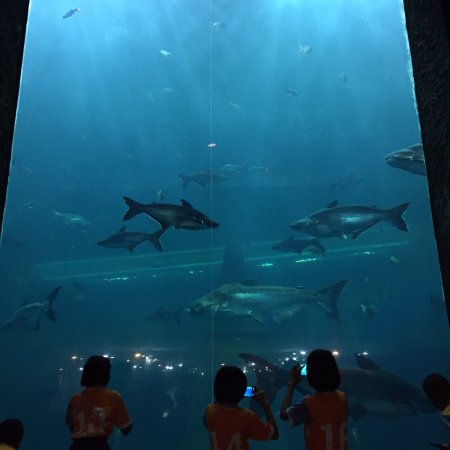 Nong Khai Aquarium