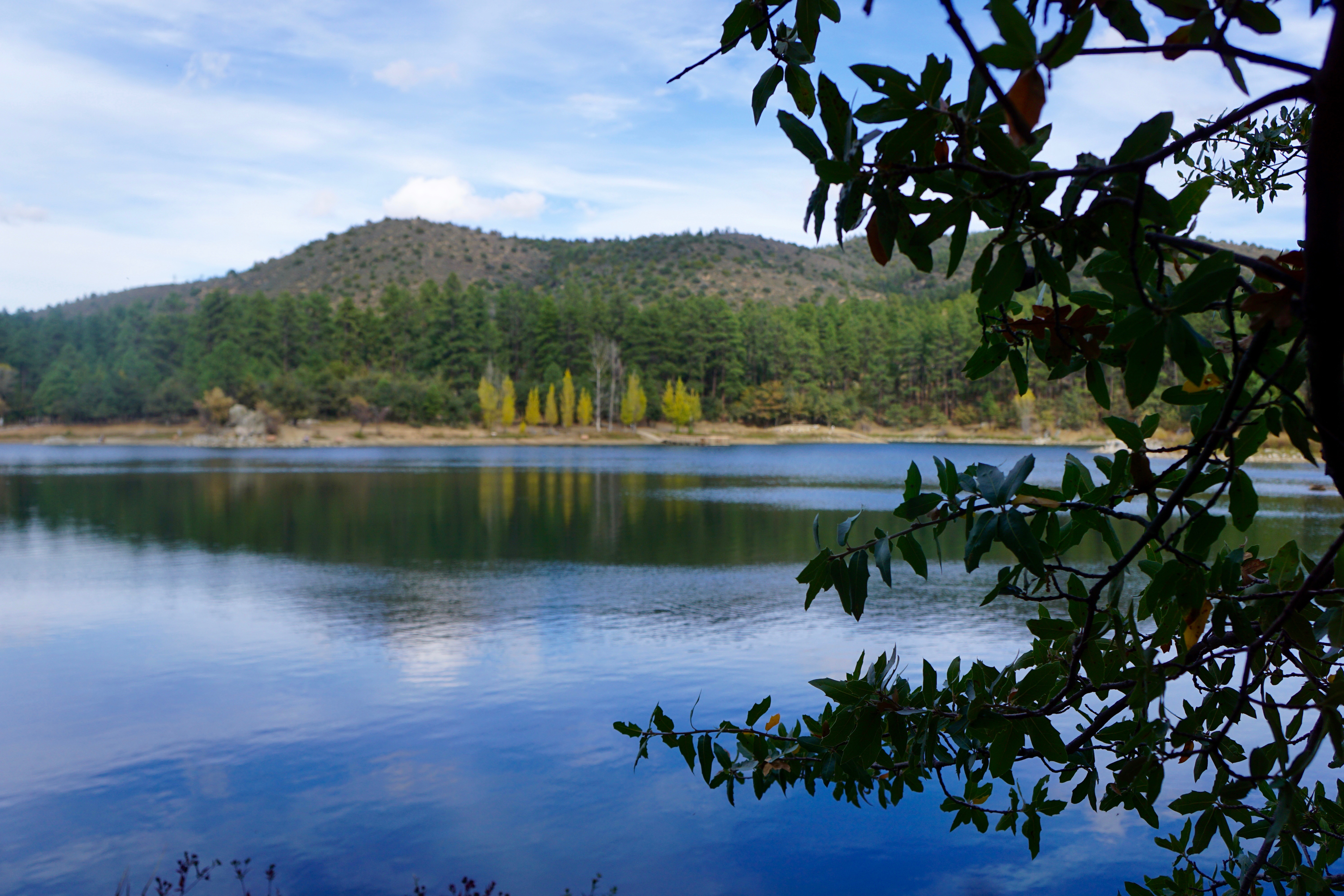 Goldwater Lake