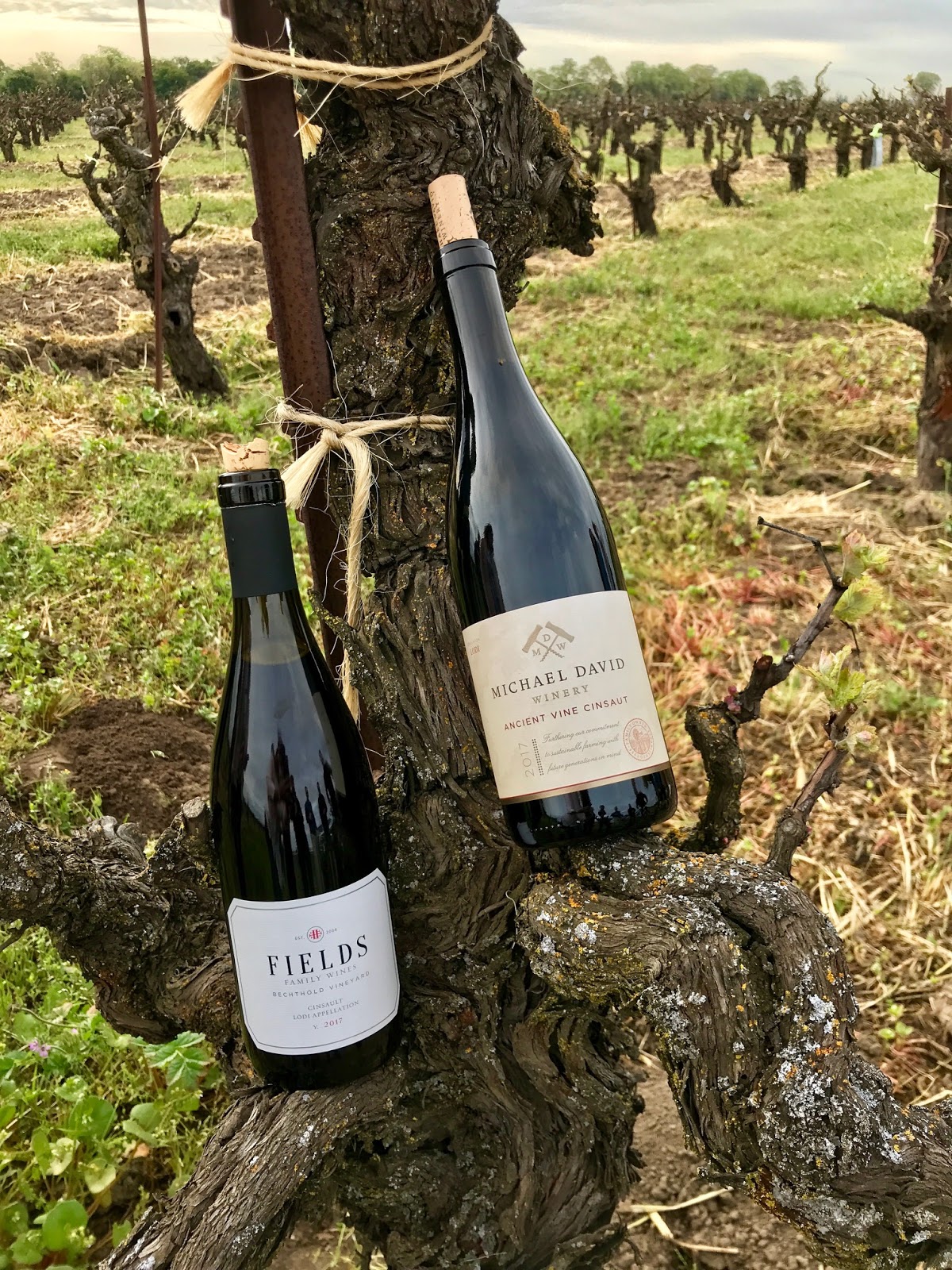 Prie Winery