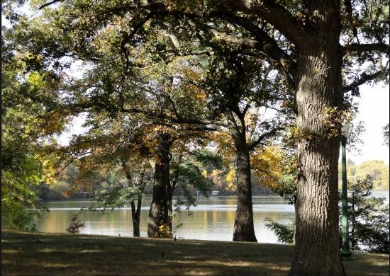 Outdoor Pictures 1