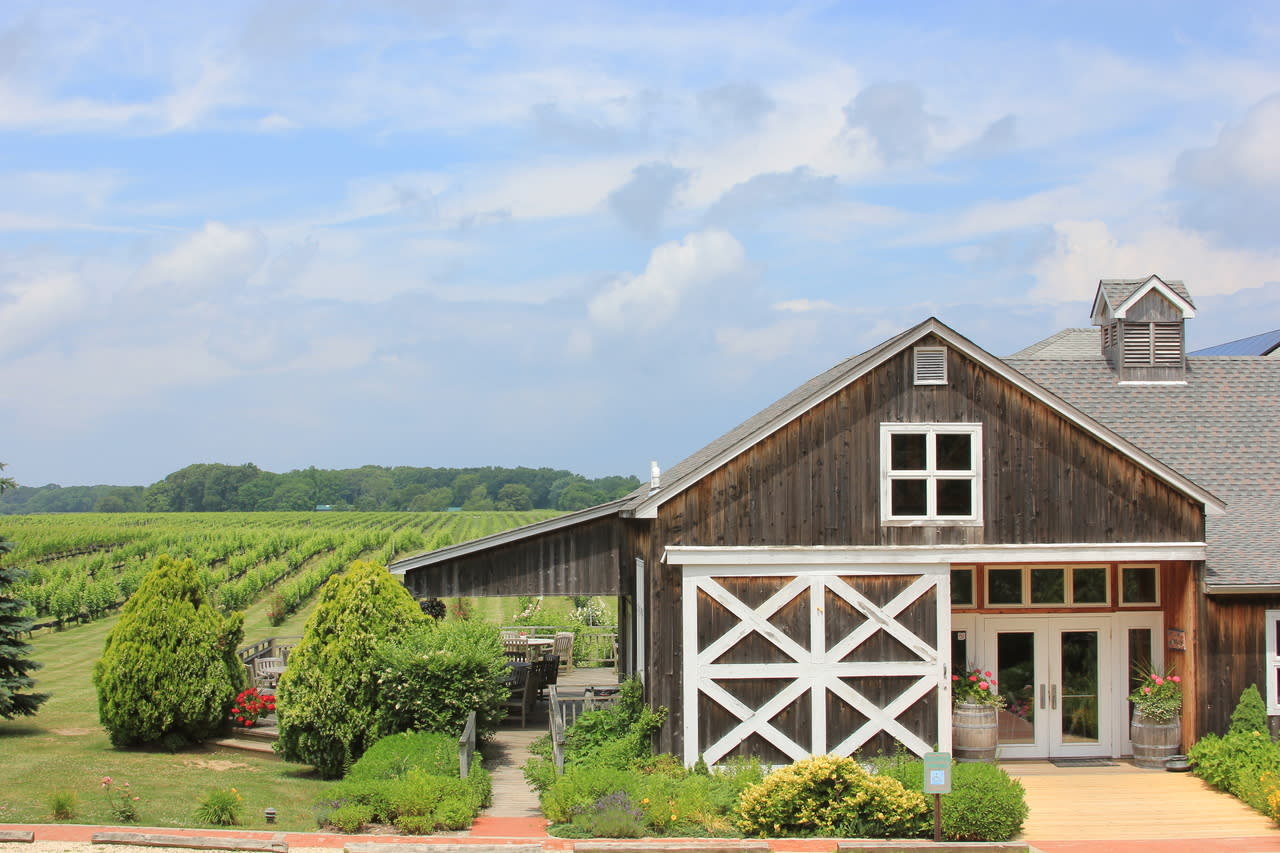 Paumanok Vineyards