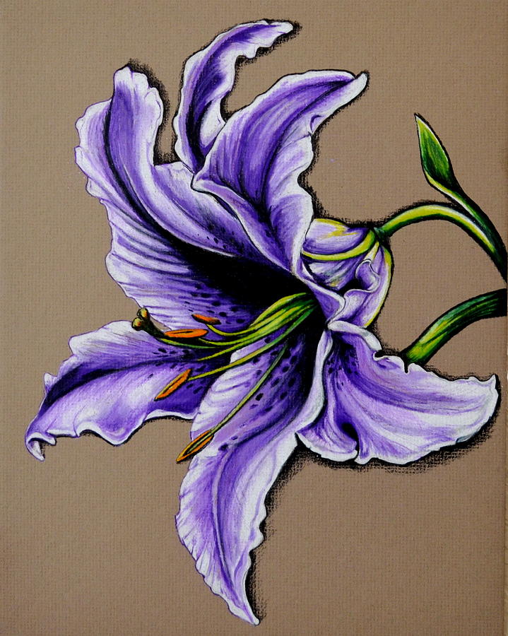 Purple Lily Art Studio