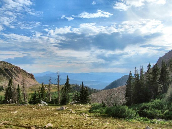 State Forest State Park