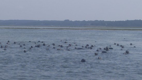 Nauset Inlet