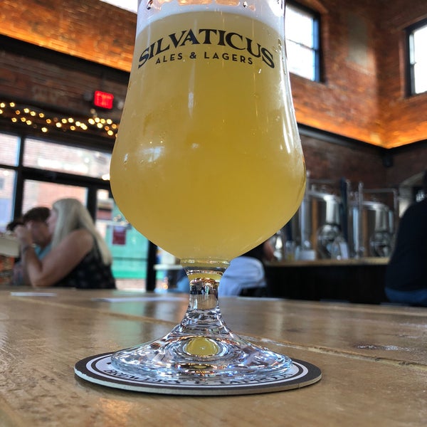 Brewery Silvaticus
