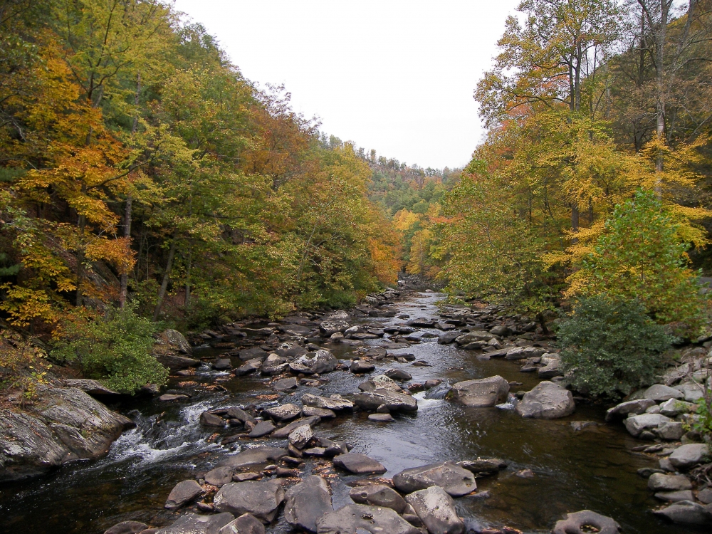 Cherokee National Forest