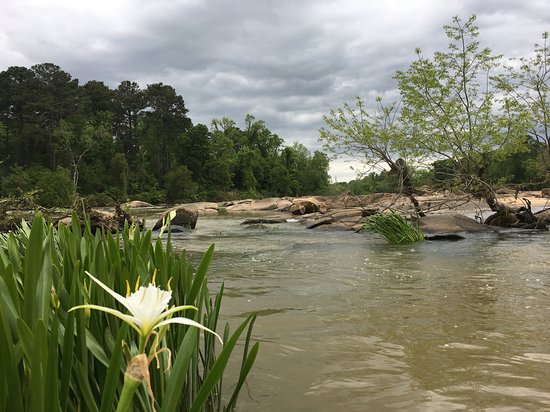 Palmetto Outdoor Center