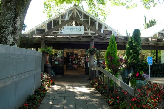 Molbak's Greenhouse and Nursery