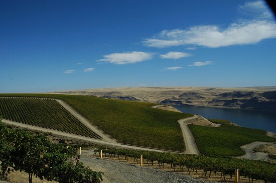 Walla Walla Wine Limo