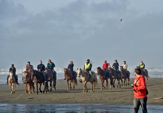 Chenois Creek Horse Ranch