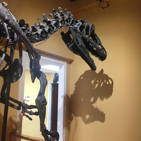 Paleon Museum in Glenrock