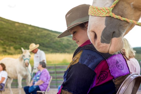 Park City Horse Experience