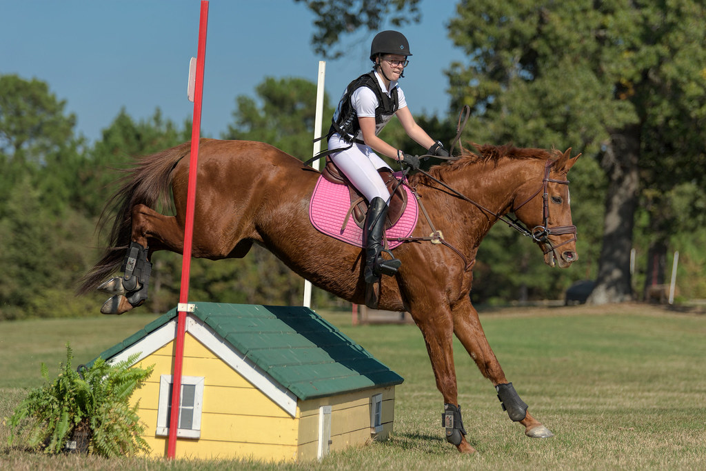Texas Rose Horse Park
