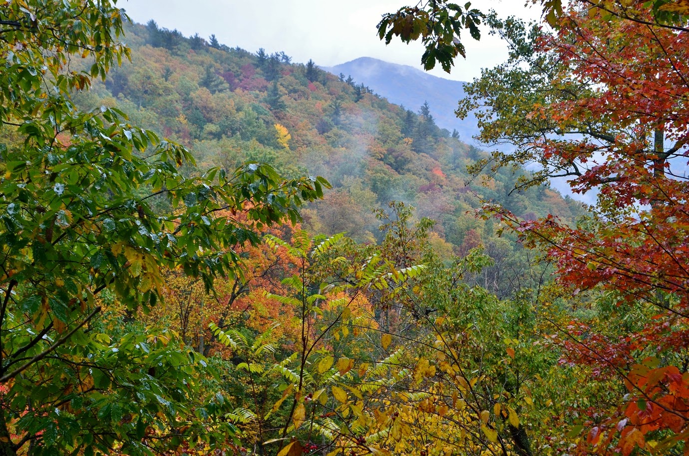 Peaks of Otter Visitor Center