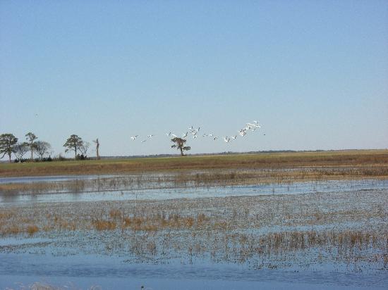 Mackay Island Wildlife Refuge