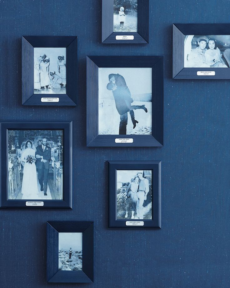 Blue Whole Gallery