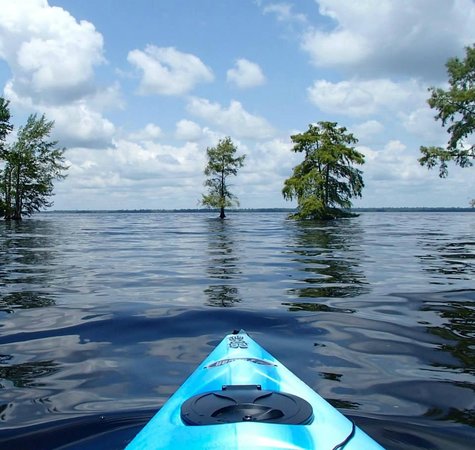 Lake Drummond